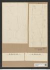 Chaetoceros lorenzianus Grun. (de-Toni-Nr.: Genus 149, Species 4127) Zeichnungen Sammlung Grunow Nr. 7679 (NHMW-BOT-W0376875)